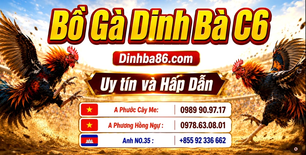 Bồ gà C6 Dinh Bà
