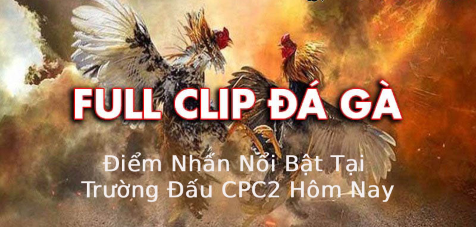 Điểm Nhấn Nổi Bật Tại Trường Đấu CPC2 Hôm Nay