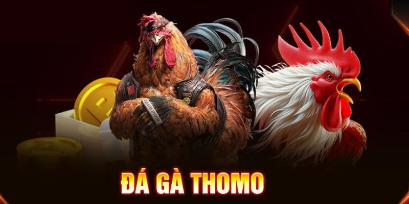 Tại sao nhu cầu xem lại đá gà CPC2 ngày càng tăng cao?