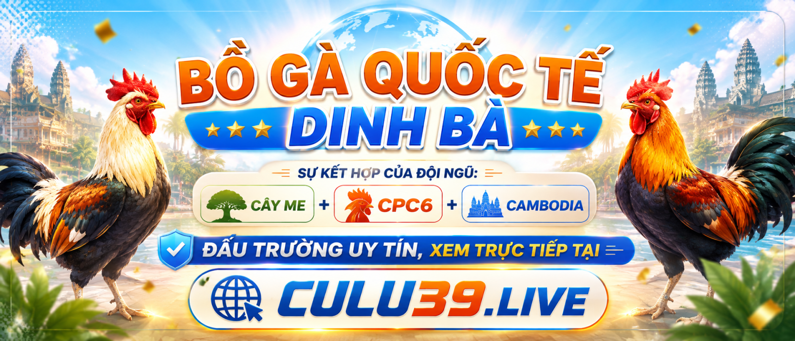 BỒ GÀ CAM86 – BỒ GÀ QUỐC TẾ DINH BÀ MỚI KHAI TRƯƠNG