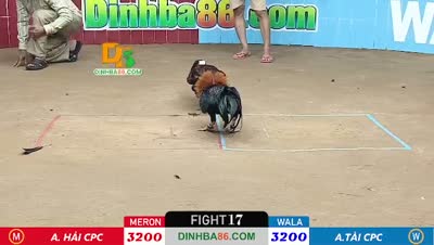 Xem lại video đá gà Campuchia - CuLu39