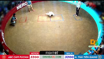 Xem lại video đá gà Campuchia - CuLu39
