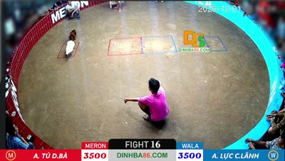 Xem lại đá gà DINH BÀ C6 ngày 01/10/2026 - CuLu39