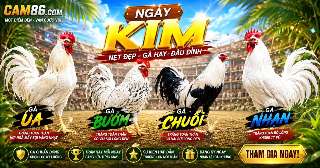 Xem lại video đá gà Campuchia - CuLu39